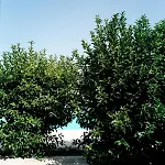 San Marco Antico Relais - Bitonto