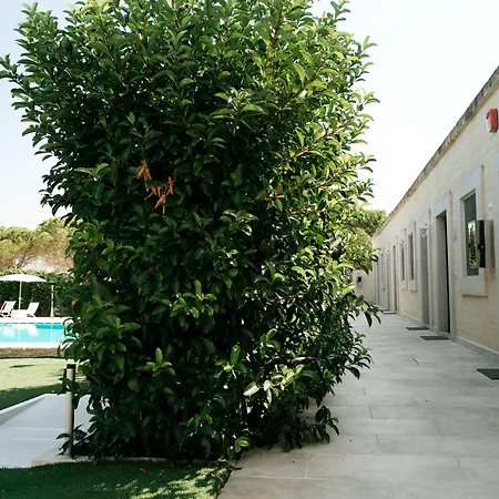 ベッド・アンド・ブレックファスト San Marco Antico Relais - ビトント