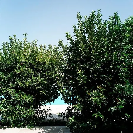 San Marco Antico Relais - Bitonto