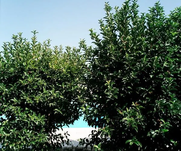 San Marco Antico Relais Bitonto